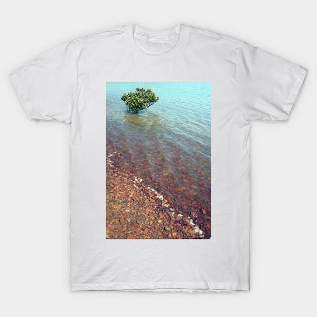 High Tide, Churchill Island T-Shirt by rozmcq